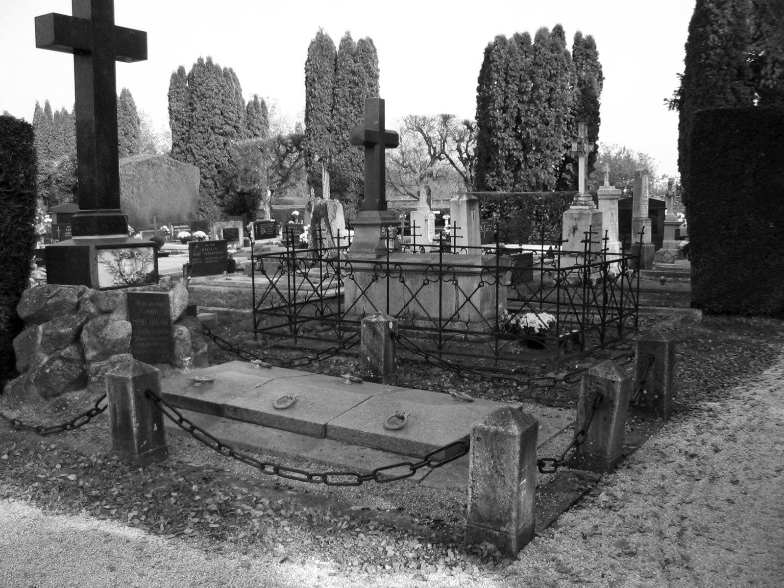 black and white image of a cemetery with raised tombs