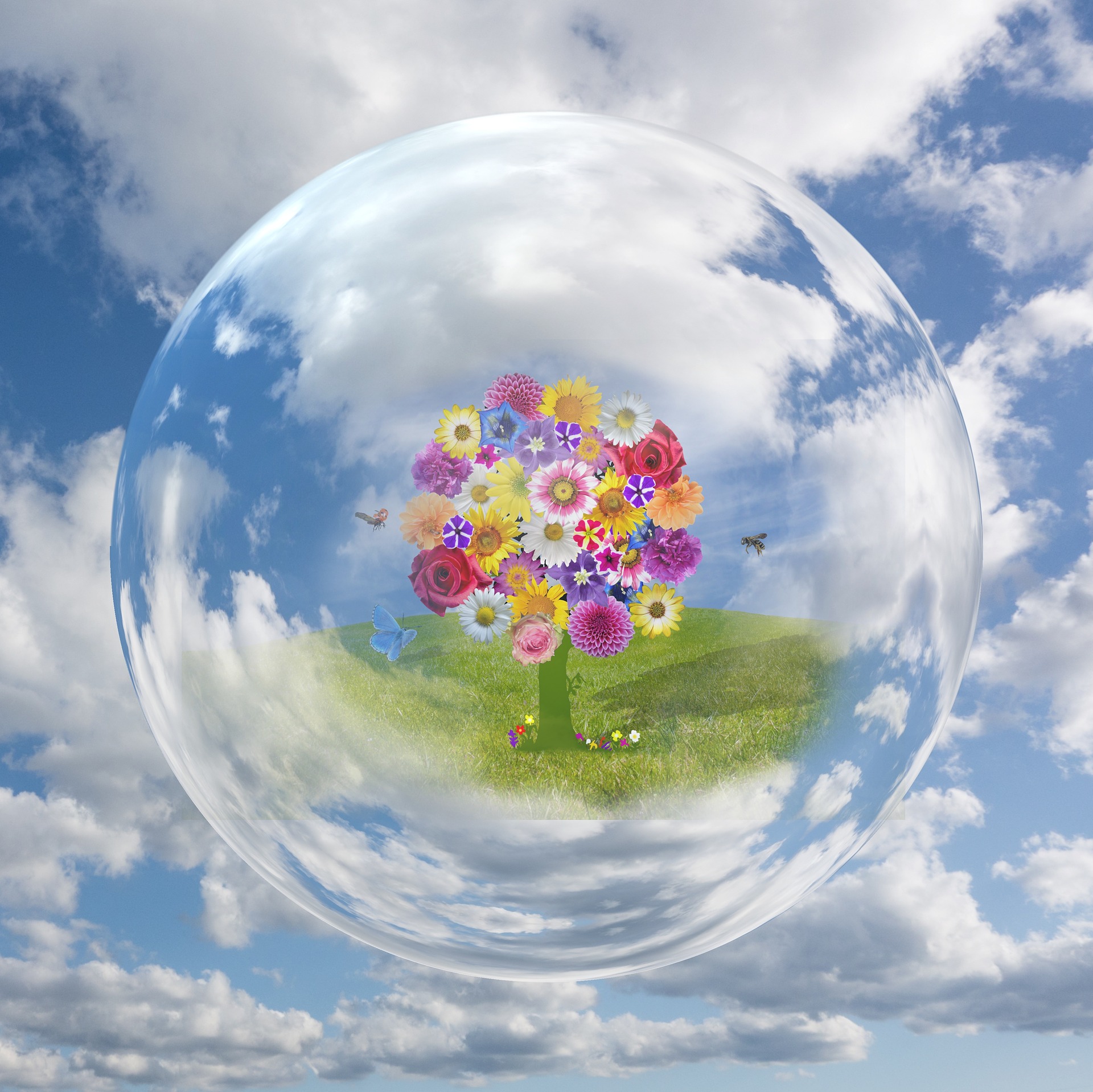 A tree made of flowers sits in a field of grass surrounded by butterflies, and encased in a bubble that floats in a partly-cloudy sky